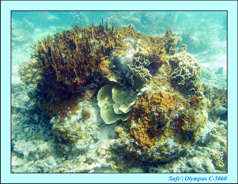 2008 - 07 - Redang - 066